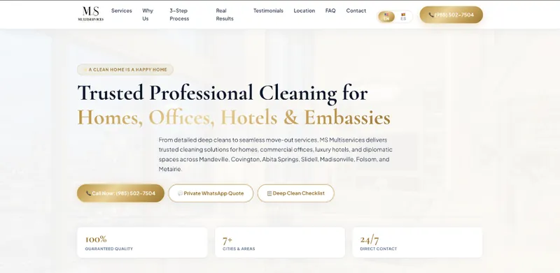 MS Multiservices website